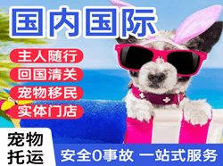 长春龙嘉机场快递国际宠物托运 【国